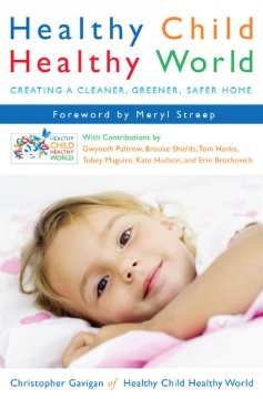 Healthy child, healthy world : creating a cleaner, greener, safer home  Cover Image