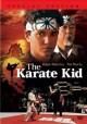 Go to record The karate kid