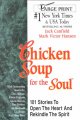 Go to record Chicken soup for the soul 101 stories to open the heart & ...