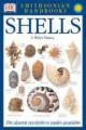 Go to record Shells : the photographic recognition guide to seashells o...