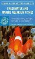 Go to record Simon and Schuster's guide to freshwater and marine aquari...