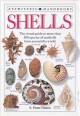 Go to record Shells